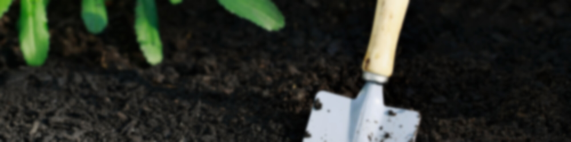 page-header